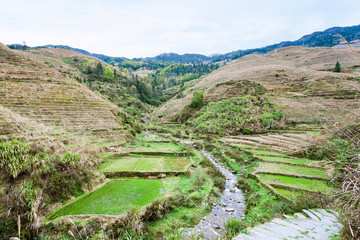 Fototapeta na wymiar view of terraced fields and creek in Dazhai
