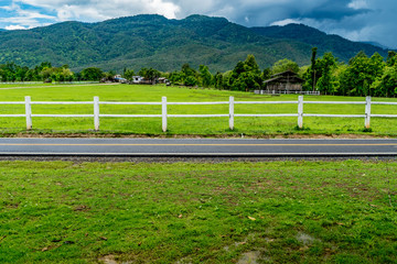 Green meadow and white fence