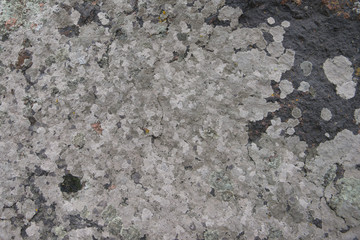 Wall fragment with scratches and cracks