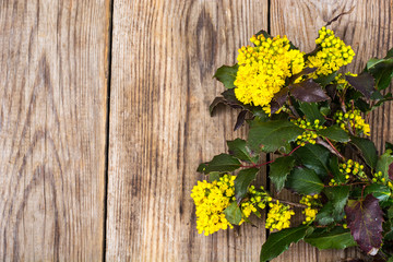 Branch with leaves and yellow flowers on wooden background