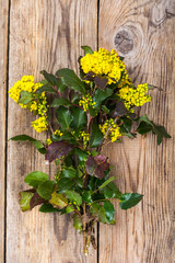 Branch with leaves and yellow flowers on wooden background