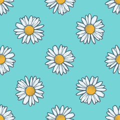 Chamomile, camomile flower floral vector seamless pattern. White flower on blue