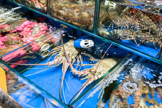 crabs, spiny lobster in fish market in Guangzhou