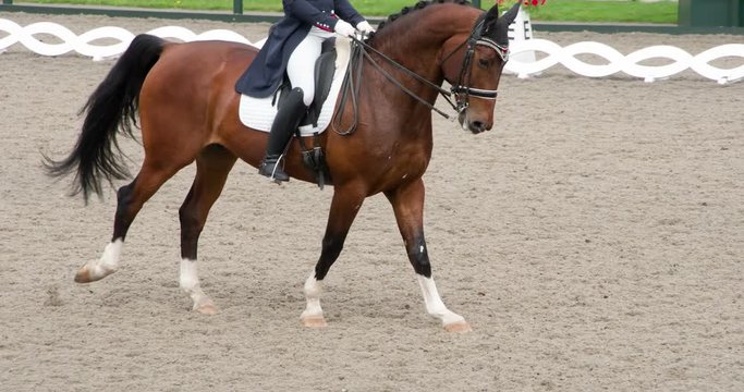 Slow Graceful Canter