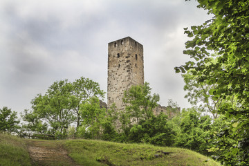 Fototapeta na wymiar Ruine Niederhaus