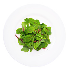 Salad of  chard and ruccola on plate