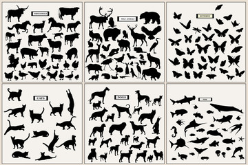 Plakat Collection of different animal silhouettes
