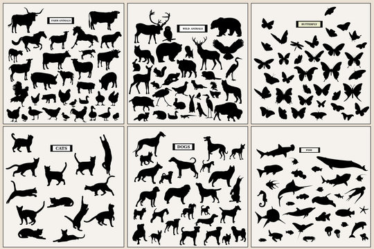 Collection of different animal silhouettes