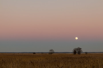 The night of the moon above the lake