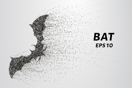 Bat out of particles. Bat consists of circles and points. Vector illustration.
