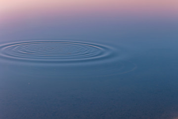 Water circular ripples on still water lake surface.