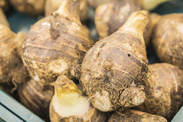  background of pile of fresh organic taro for retail sale in local morning market departmental storeมpile of taro for retail sale in local marketมtaro root pile in the market,selective focus.