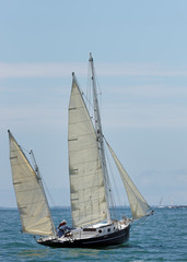 Fototapeta premium Voilier sur littoral du Morbihan en bretagne