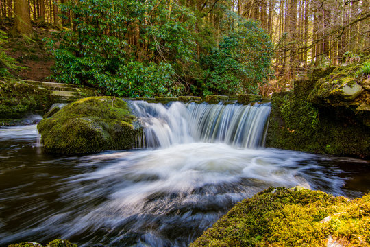 Stepping Stones In Tollymore