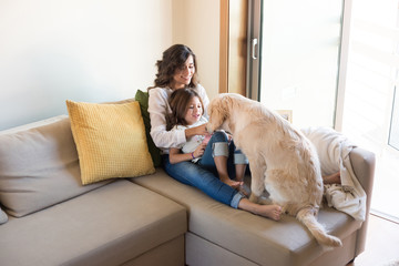 Dog with human family at home