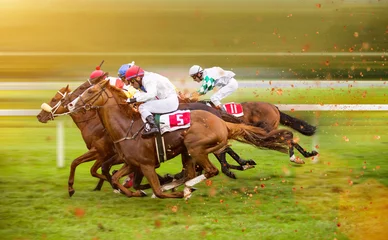 Fotobehang Race paarden met jockeys op het rechte stuk thuis © Lukas Gojda