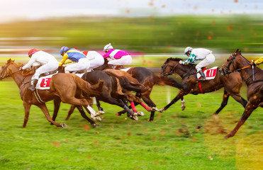 Plakat Race horses with jockeys on the home straight