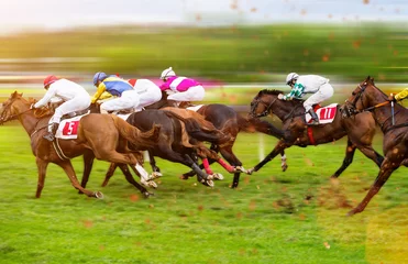 Tuinposter Paardrijden Race paarden met jockeys op het rechte stuk thuis