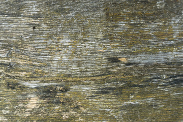 wooden surface - closeup