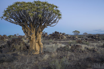 Namibia