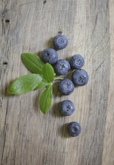 
Fresh blue bilberries