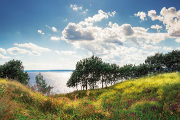 The riot of summer-trees and meadow over the edge of the Volga River (Russia) in the cloudy summer noon