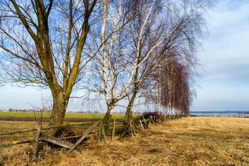Podlaskie płoty i miedze © podlaski49