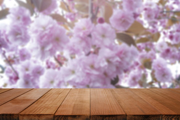 Empty brown wooden table and blur background with Cherry blossoms. Spring landscape. Spring day.in spring time, sakura,for product display montage,can be used for montage or display your products.