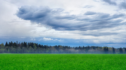 Obraz premium White blue sky background texture