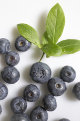 Fresh blue blueberries