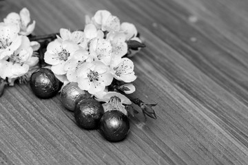 fruit flowers on a background of wood, tree structure
