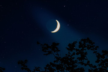 Fototapeta na wymiar Moon and Stars