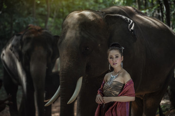  Thailand elephant