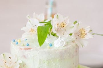 Mint-colored cake with handmade cookies and bottled juice