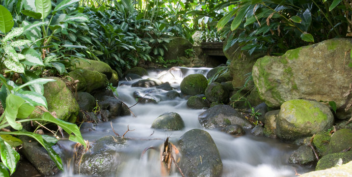 Rivi&egrave;re, Guadeloupe