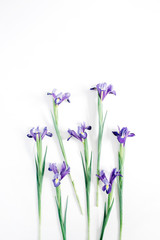 Beautiful purple iris flowers on white background. Flat lay, top view. Lifestyle composition.