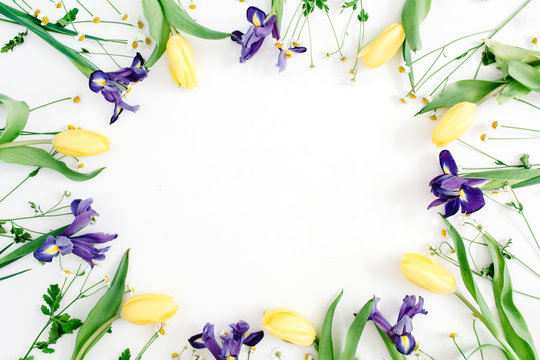 Round frame wreath with yellow tulips, purple iris and chamomile flowers on white background. Flat lay, top view. Floral background