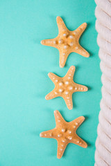 Three starfishes and sea rope on colored mint green background with negative space