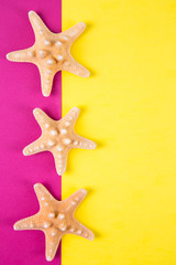 Three starfishes on colored yellow and crimson backgrounds with negative space, top view.
