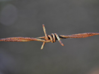 rusty wire