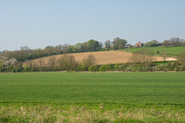 Countryside near Shoreham, Sussex, England
