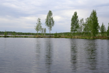 Fototapeta premium A large lake with the flooded forest