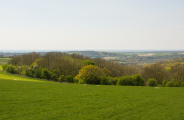South Downs near Worthing, West Sussex, England
