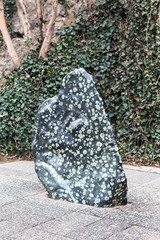 natural Luoyang Peony Stone