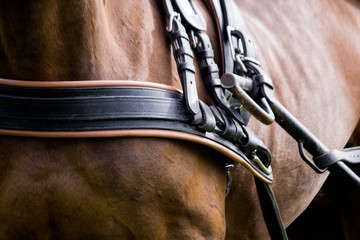 Close up van paard en wagen tack