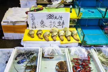 geoduck and crabs in fish market in Guangzhou city