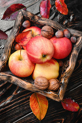 ripe autumn apples