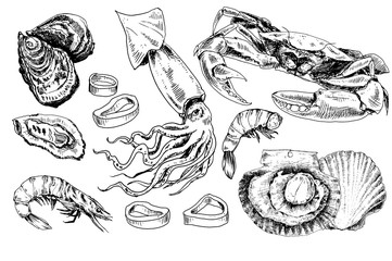 Seafood hand drawn collection