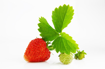 Ripe, juicy and appetizing strawberries isolated on white background
