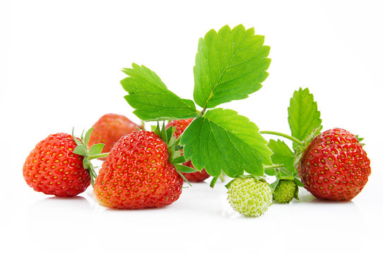 Ripe, juicy and appetizing strawberries isolated on white background
